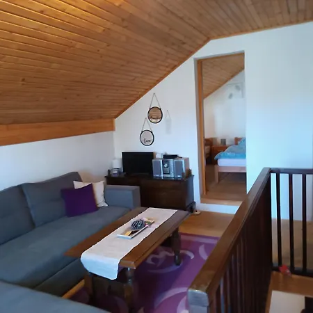 Relaks Dream Apartment Vlasic