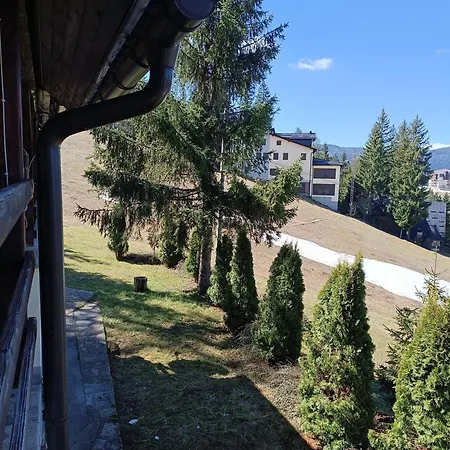 Relaks Dream דירה *